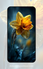 Dewlight Bloom – yellow daffodil with dew drops, free phone wallpaper with macro floral nature aesthetic